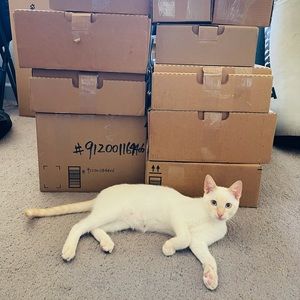 Meet your Posher, Chenxi